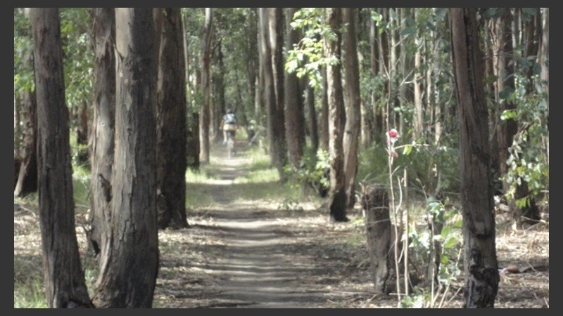 Circuito de mountain bike.