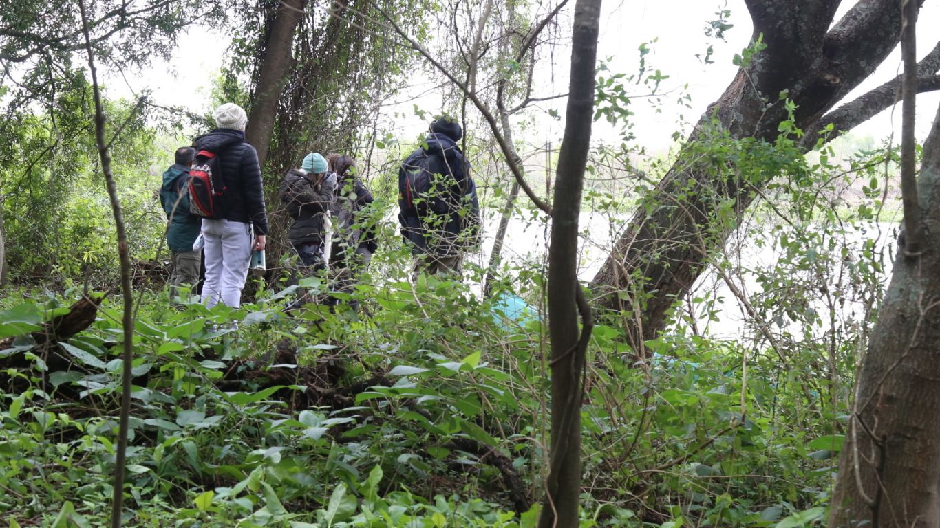 Un viaje al único Parque Nacional de Santa Fe que abre senderos “experimentales” en las islas